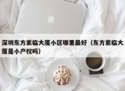 深圳东方紫临大厦小区哪里最好（东方紫临大厦是小产权吗）