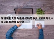 深圳湖北大厦办电话号码是多少（深圳湖北大厦可以办理什么业务）