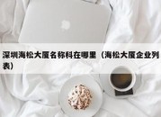 深圳海松大厦名称科在哪里（海松大厦企业列表）