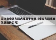 深圳宝安区东联大厦属于哪里（宝安东联实业发展股份公司）