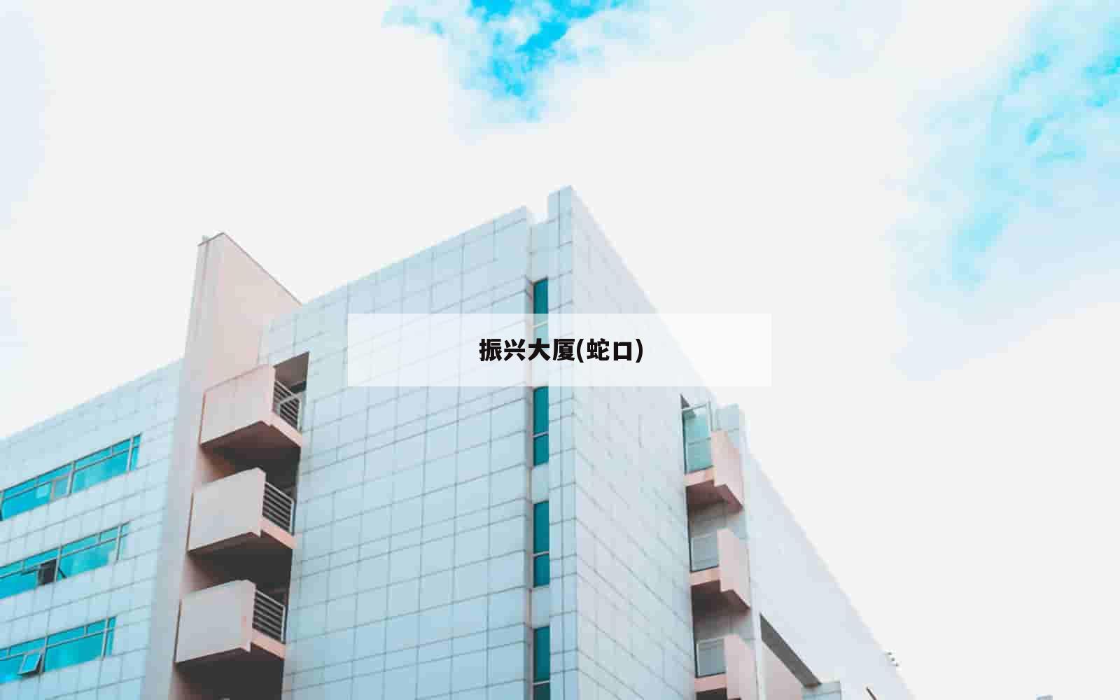 振兴大厦(蛇口)_(深圳市南山区蛇口振兴小学)