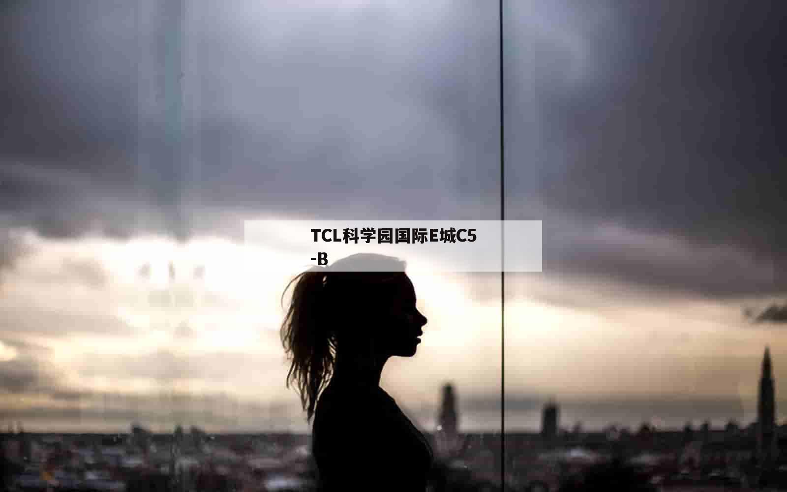 TCL科学园国际E城C5-B_(tcl国际e城是谁开发的)