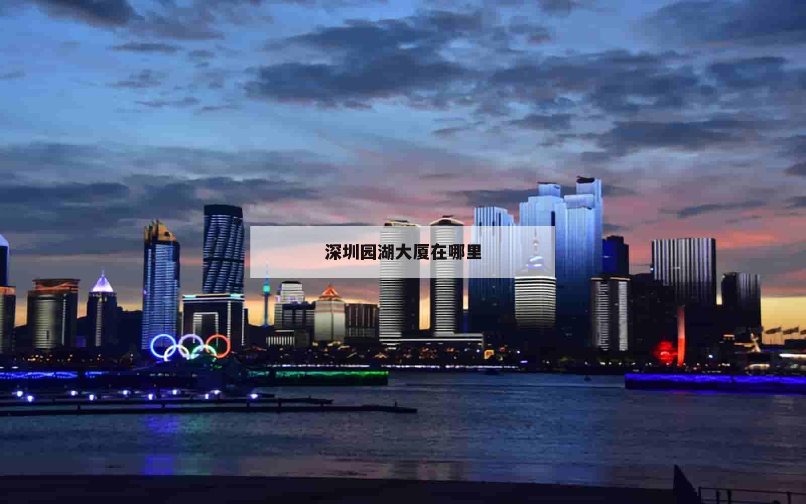 深圳园湖大厦在哪里_(深圳园湖大厦在哪里办公)