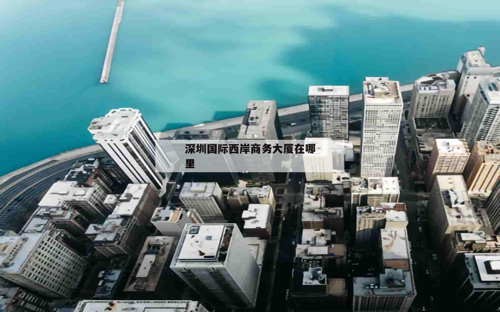 深圳国际西岸商务大厦在哪里_(深圳市西岸国际货运有限公司怎么样)