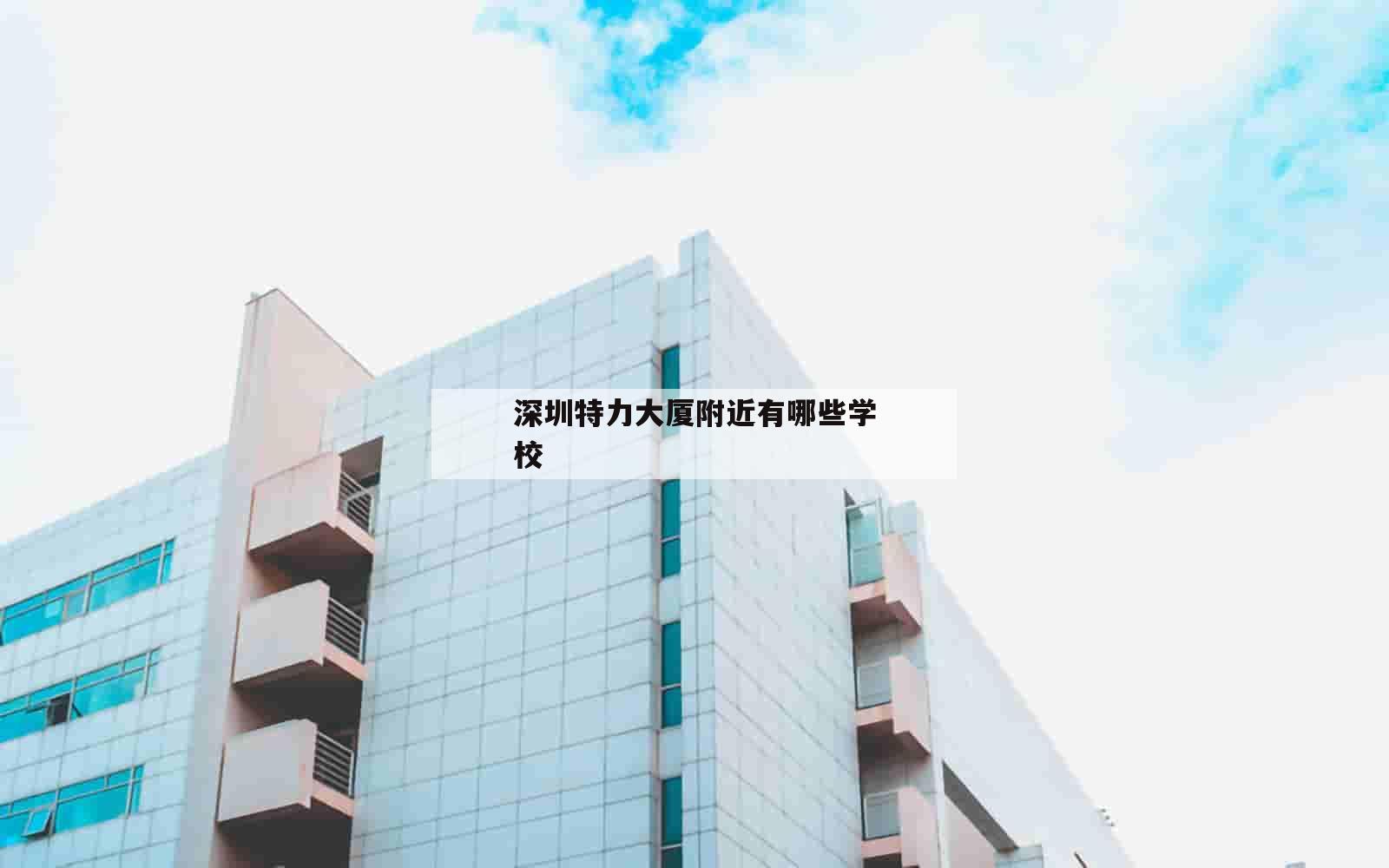 深圳特力大厦附近有哪些学校_(特力大厦学位是什么中学)