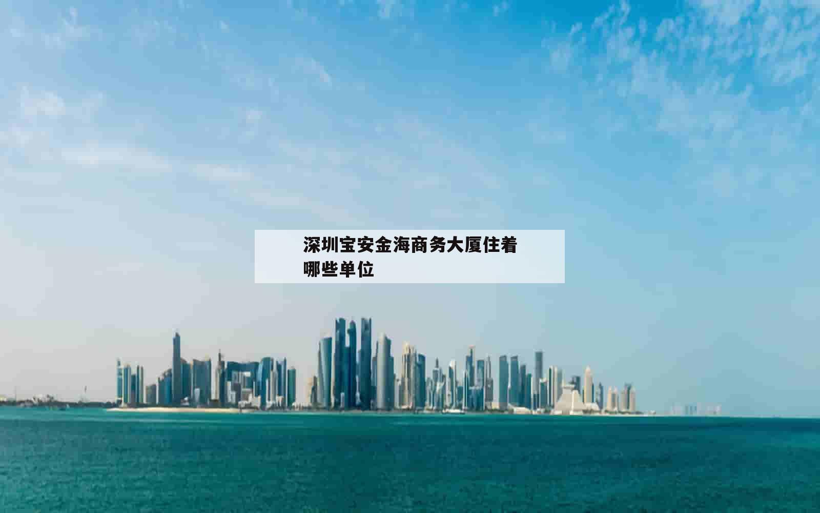 深圳宝安金海商务大厦住着哪些单位_(深圳金海湾大厦)