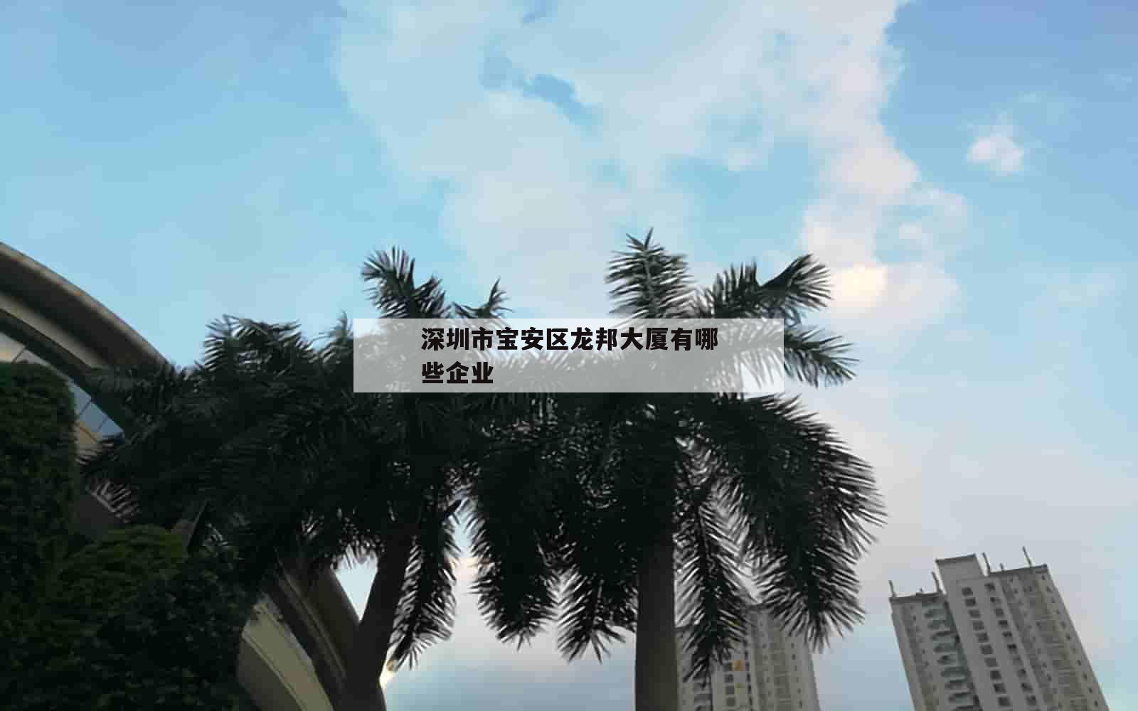 深圳市宝安区龙邦大厦有哪些企业_(深圳市宝安区龙邦大厦有哪些企业公司)