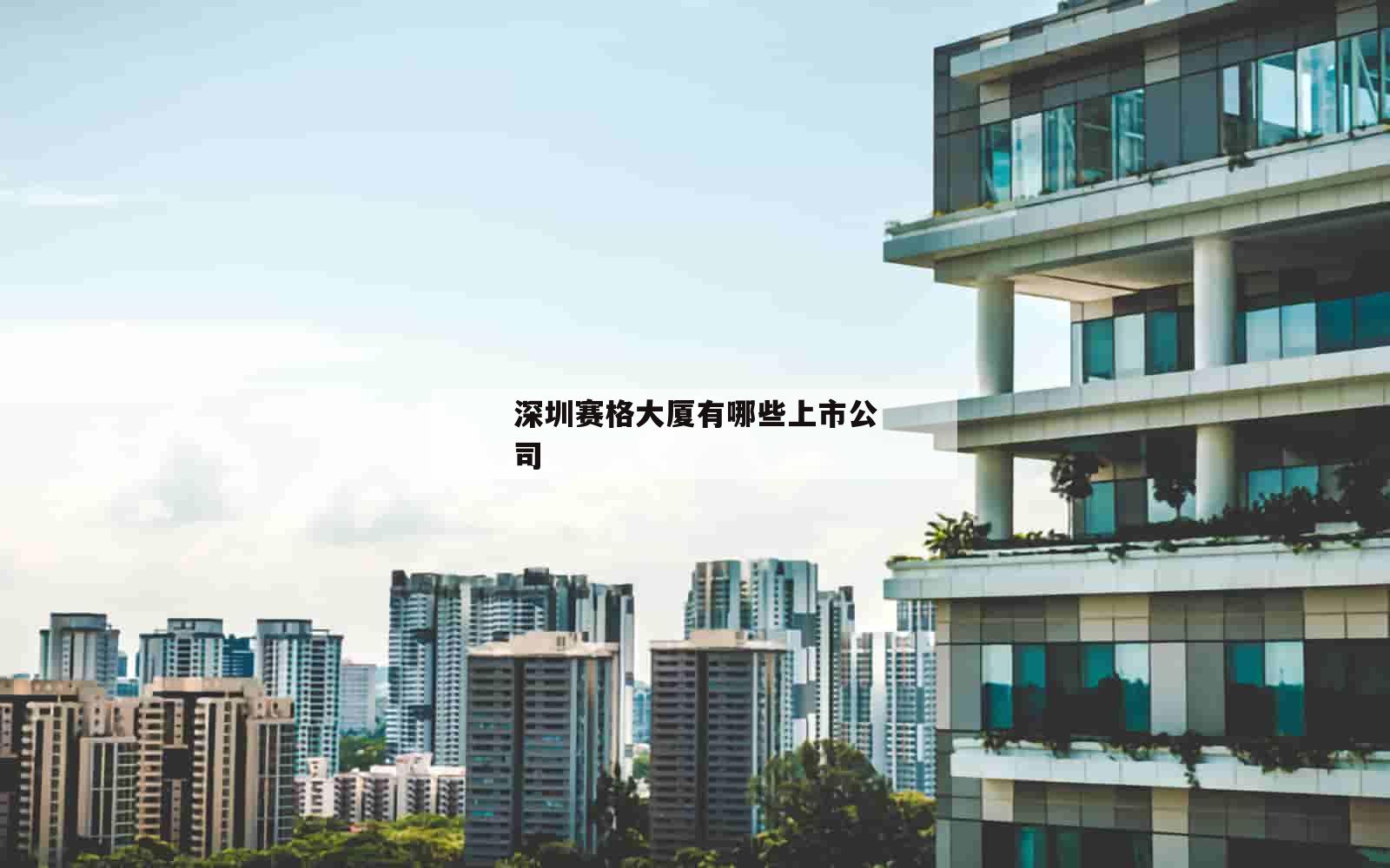 深圳赛格大厦有哪些上市公司_(深圳赛格大厦市值多少)