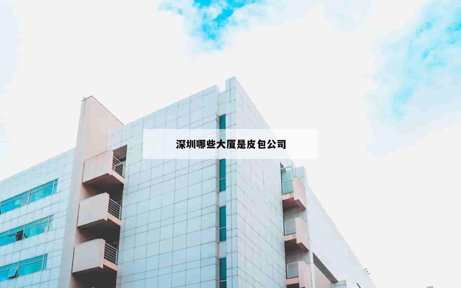 深圳哪些大厦是皮包公司_(深圳哪些大厦是皮包公司建的)