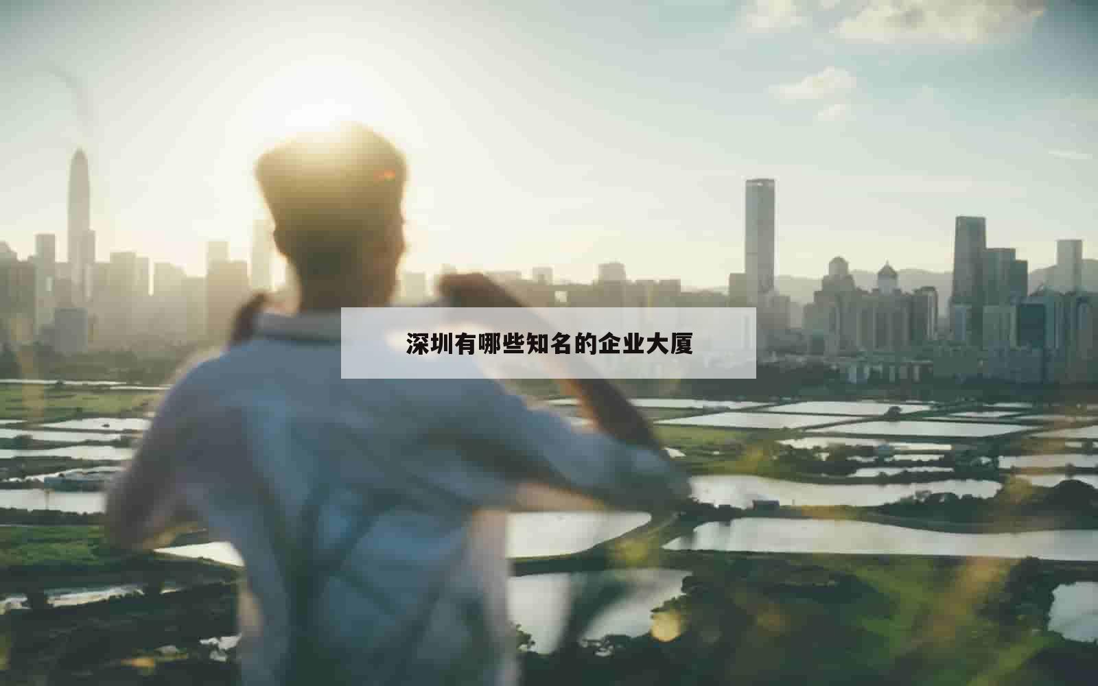 深圳有哪些知名的企业大厦_(深圳10大企业)