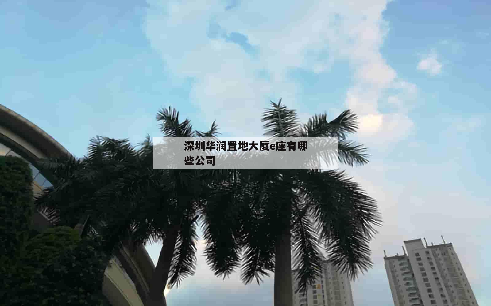 深圳华润置地大厦e座有哪些公司_(深圳华润置地大厦在哪)